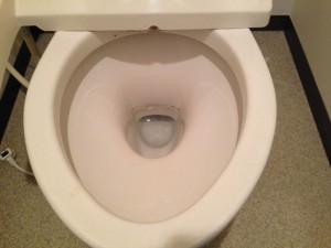 トイレのハウスクリーニングを川崎市高津区二子にて【清掃事例77】