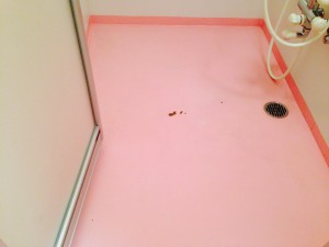 お風呂（浴室）のハウスクリーニングを川崎市中原区木月祇園町にて【清掃事例176】