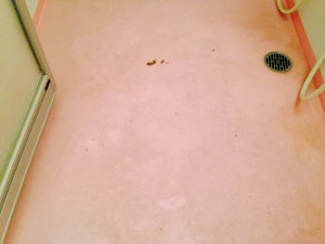 お風呂（浴室）のハウスクリーニングを川崎市中原区木月祇園町にて【清掃事例176】
