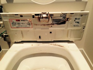 トイレのハウスクリーニングを川崎市幸区都町にて【清掃事例291】