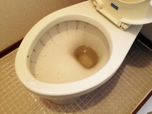 トイレのハウスクリーニングを川崎市幸区都町にて【清掃事例291】