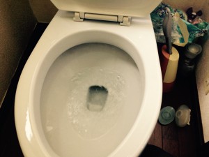 トイレのハウスクリーニングを川崎市多摩区三田にて【清掃事例404】