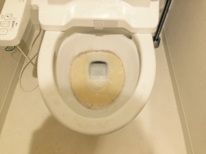 トイレのハウスクリーニングを川崎市多摩区菅北浦にて【清掃事例443】