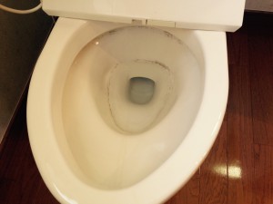 トイレのハウスクリーニングを川崎市川崎区浅野町にて【清掃事例436】