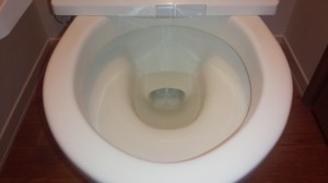 トイレのハウスクリーニングを川崎市中原区下小田中にて【清掃事例508】