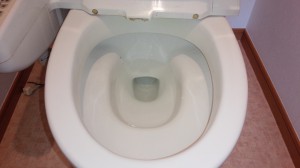 トイレのハウスクリーニングを川崎市多摩区登戸新町にて【清掃事例528】