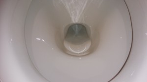 トイレのハウスクリーニングを川崎市幸区小向東芝町にて【清掃事例650】