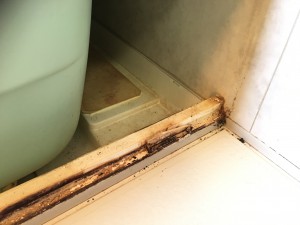 お風呂（浴室）のハウスクリーニングを川崎市中原区上平間にて【清掃事例798】