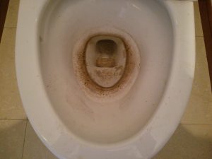 トイレのハウスクリーニングを川崎市中原区上平間にて【清掃事例896】