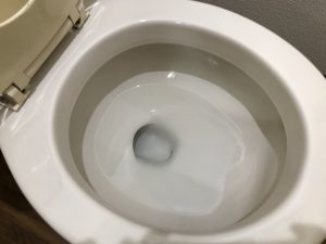 トイレのハウスクリーニングを川崎市高津区溝口にて【清掃事例1087】