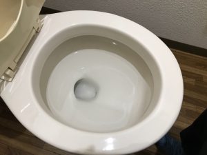 トイレのハウスクリーニングを川崎市高津区溝口にて【清掃事例1087】