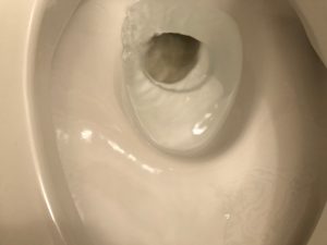 トイレのハウスクリーニングを川崎市宮前区有馬にて【清掃事例1382】