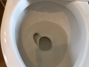 トイレのハウスクリーニングを東京都品川区勝島にて【清掃事例1401】
