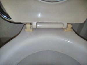 トイレのハウスクリーニングを横浜市西区中央にて【清掃事例1350】