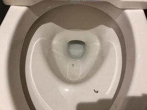 トイレのハウスクリーニングを東京都品川区南大井にて【清掃事例1413】
