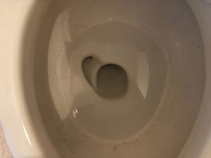 トイレのハウスクリーニングを東京都品川区東大井にて【清掃事例1407】