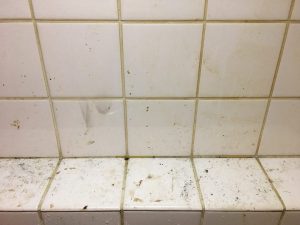 お風呂（浴室）のハウスクリーニングを川崎市宮前区潮見台にて【清掃事例1480】
