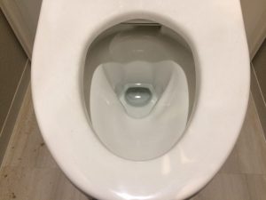 トイレのハウスクリーニングを川崎市高津区上作延にて【清掃事例1494】