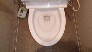 トイレのハウスクリーニングを川崎市麻生区栗木にて【清掃事例1567】